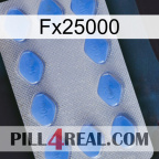 Fx25000 21
